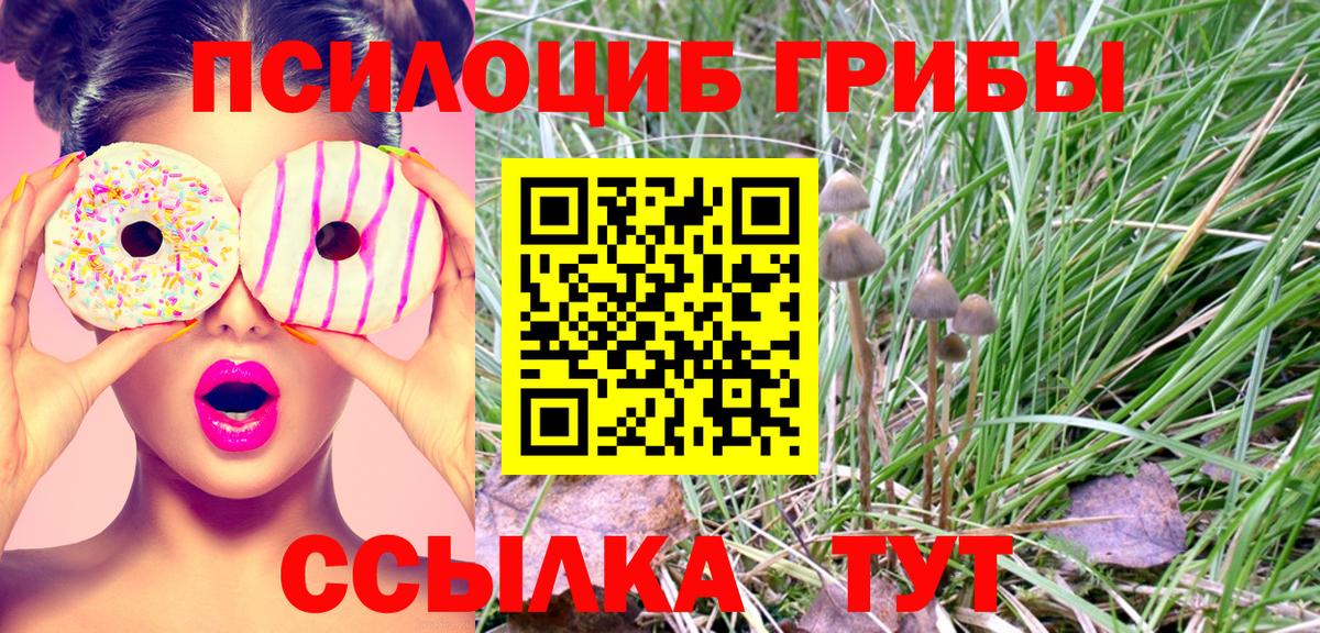 Сердобск  Галлюциногенные грибы MAGIC MUSHROOMS  Вход с VPN 